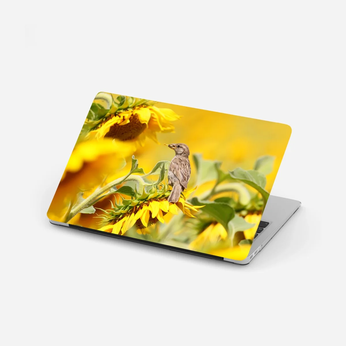 Adesivo per laptop passero sul girasole dorato • Wallissimo® Adesivo per laptop passero sul girasole dorato • Wallissimo®