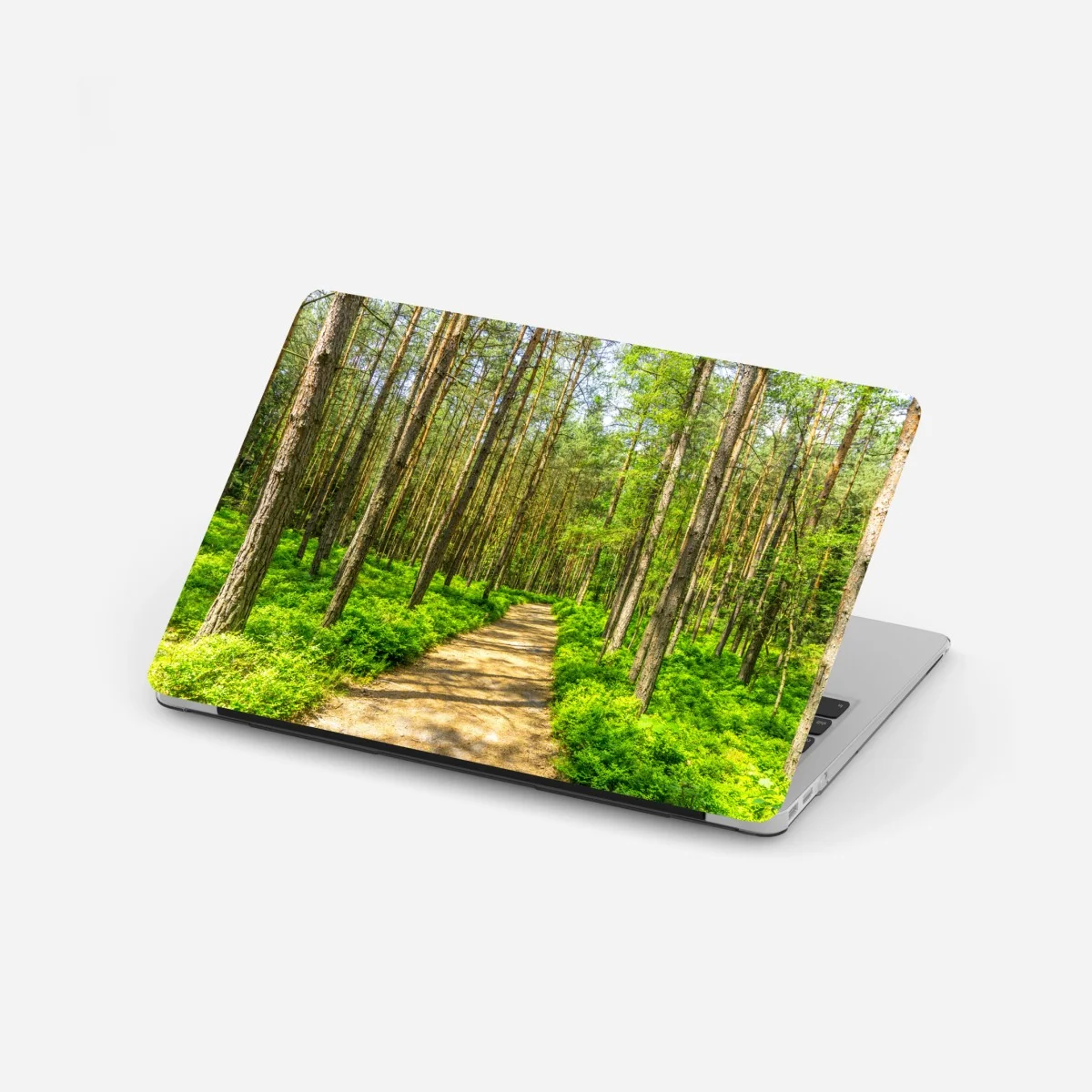 Adesivo per laptop sentiero silenzioso nella foresta di pini • Wallissimo® Adesivo per laptop sentiero silenzioso nella foresta di pini • Wallissimo®