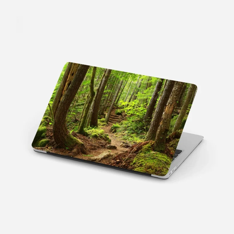 Adesivo per laptop sentiero nella foresta verde