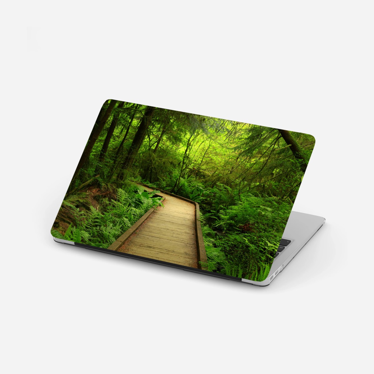 Adesivo per laptop sentiero nel bosco verde • Wallissimo®
