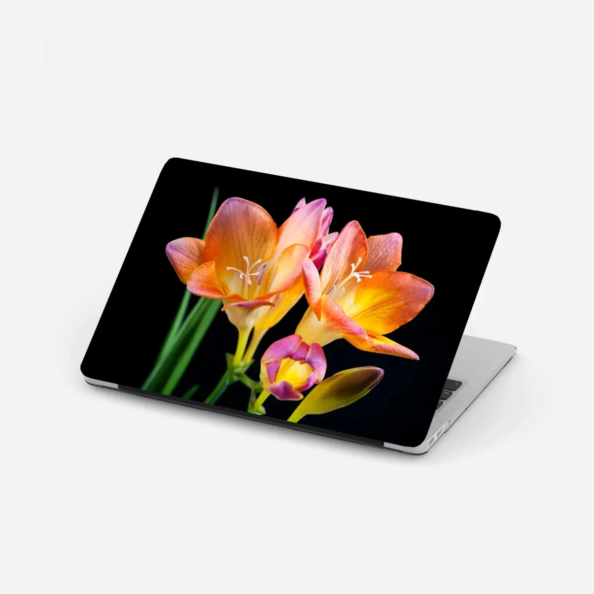 Adesivo per laptop fresie arancioni su sfondo scuro • Wallissimo®