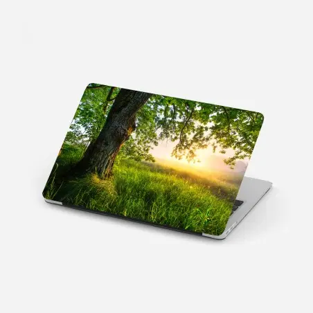 Adesivo per laptop quercia maestosa al mattino dorato • Wallissimo®