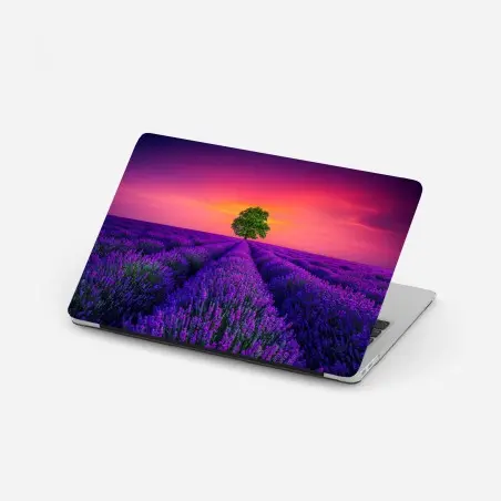 Adesivo per laptop albero solitario nel campo di lavanda al tramonto • Wallissimo®