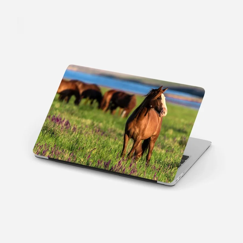 Adesivo per laptop cavallo al pascolo tra fiori selvatici