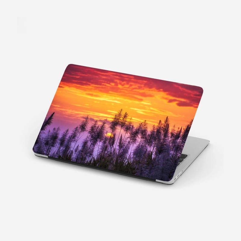 Adesivo per laptop tramonto dorato tra le canne