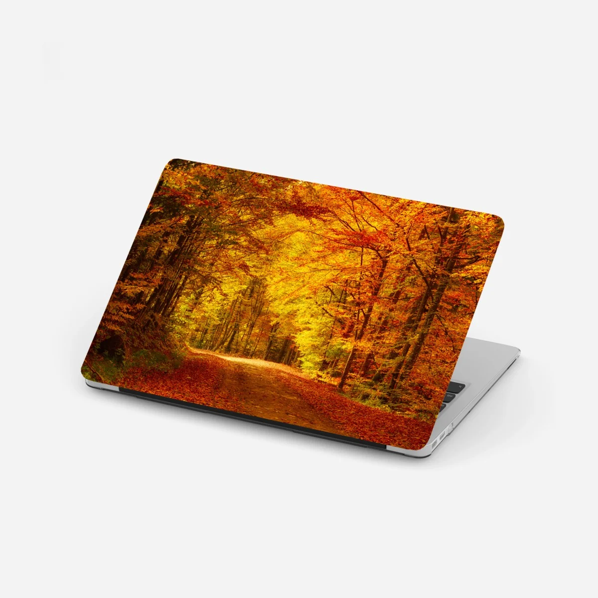 Adesivo per laptop sentiero d'autunno nel bosco dorato • Wallissimo® Adesivo per laptop sentiero d'autunno nel bosco dorato • Wallissimo®