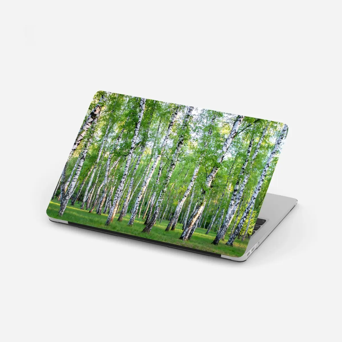 Adesivo per laptop bosco di betulle estivo: luce e freschezza • Wallissimo®