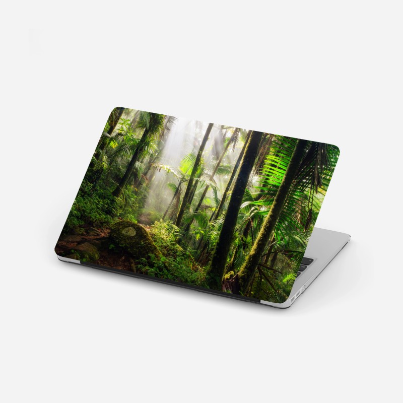 Adesivo per laptop foresta pluviale al chiarore del mattino