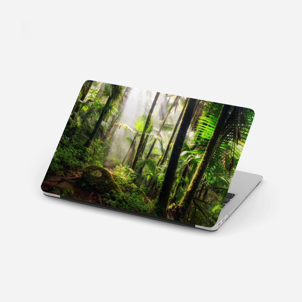 Adesivo per laptop foresta pluviale al chiarore del mattino • Wallissimo®