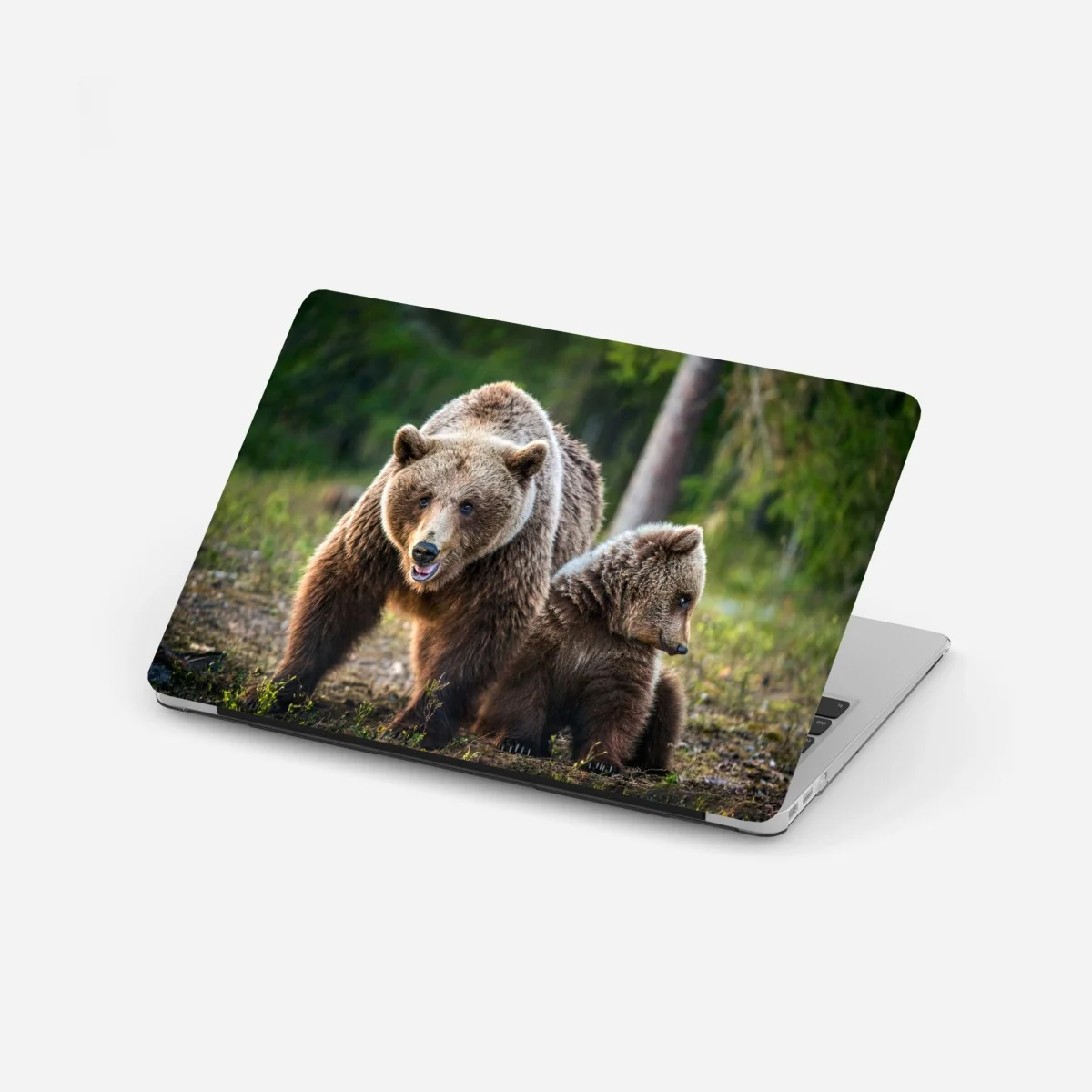 Adesivo per laptop orso bruno con cucciolo nella foresta • Wallissimo® Adesivo per laptop orso bruno con cucciolo nella foresta • Wallissimo®