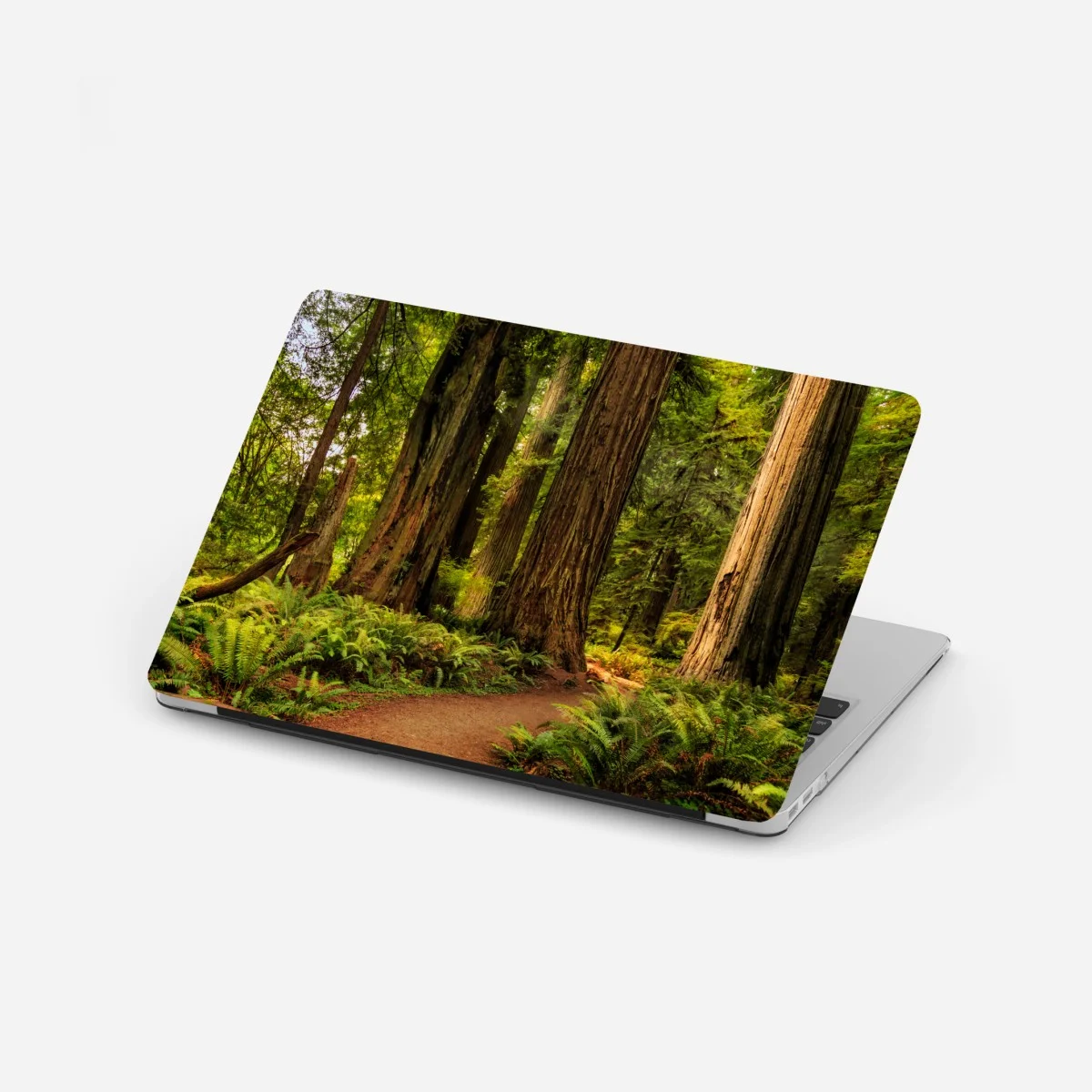 Adesivo per laptop silenzio tra le sequoie della California • Wallissimo® Adesivo per laptop silenzio tra le sequoie della California • Wallissimo®