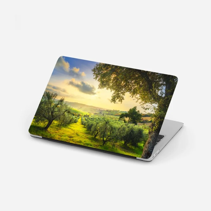 Adesivo per laptop tramonto tra gli ulivi della Maremma Toscana