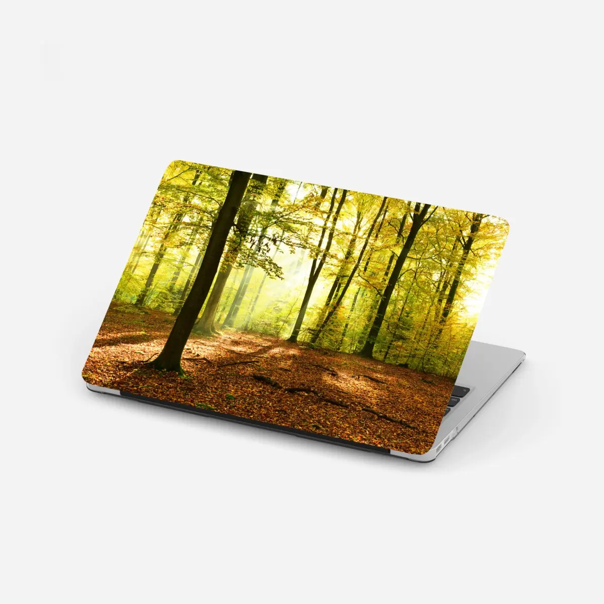 Adesivo per laptop mattina d'autunno nel bosco dorato • Wallissimo®