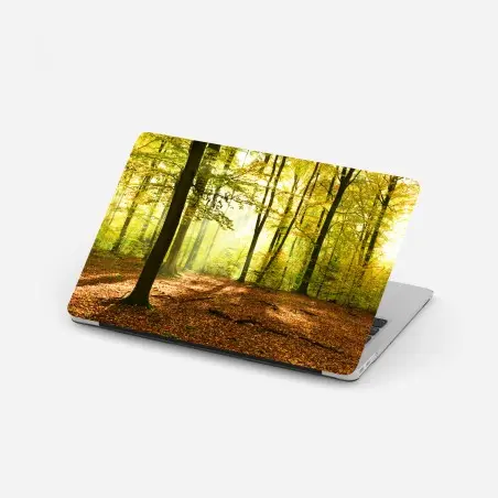Adesivo per laptop mattina d'autunno nel bosco dorato • Wallissimo®