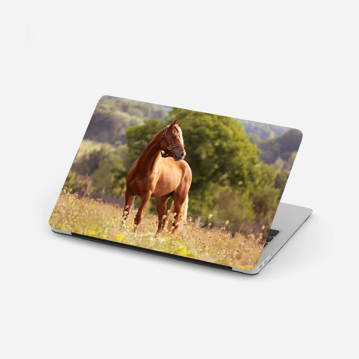 Adesivo per laptop elegante cavallo castano al pascolo • Wallissimo® Adesivo per laptop elegante cavallo castano al pascolo • Wallissimo®