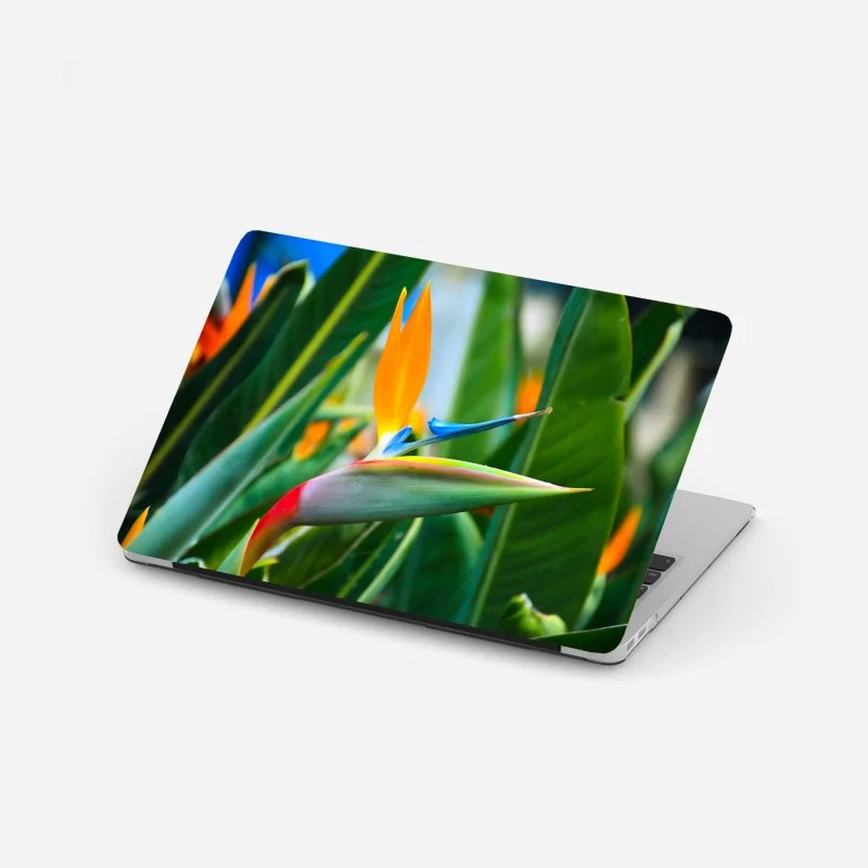 Adesivo per laptop strelitzia esotica dai colori vivaci su sfondo verde