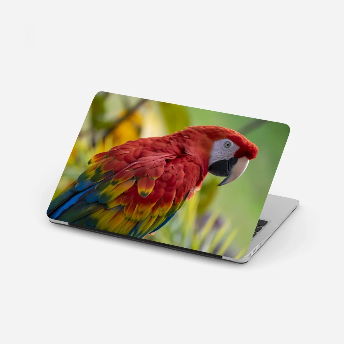 Adesivo per laptop pappagallo dai colori vivaci • Wallissimo® Adesivo per laptop pappagallo dai colori vivaci • Wallissimo®
