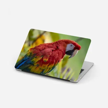 Adesivo per laptop pappagallo dai colori vivaci • Wallissimo®