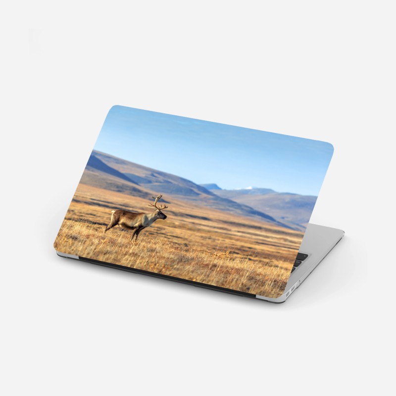Adesivo per laptop solitaria renna nella tundra della Siberia