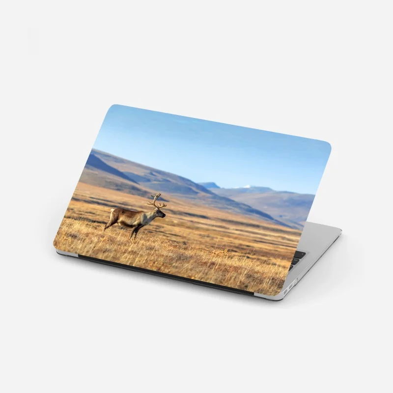 Adesivo per laptop solitaria renna nella tundra della Siberia