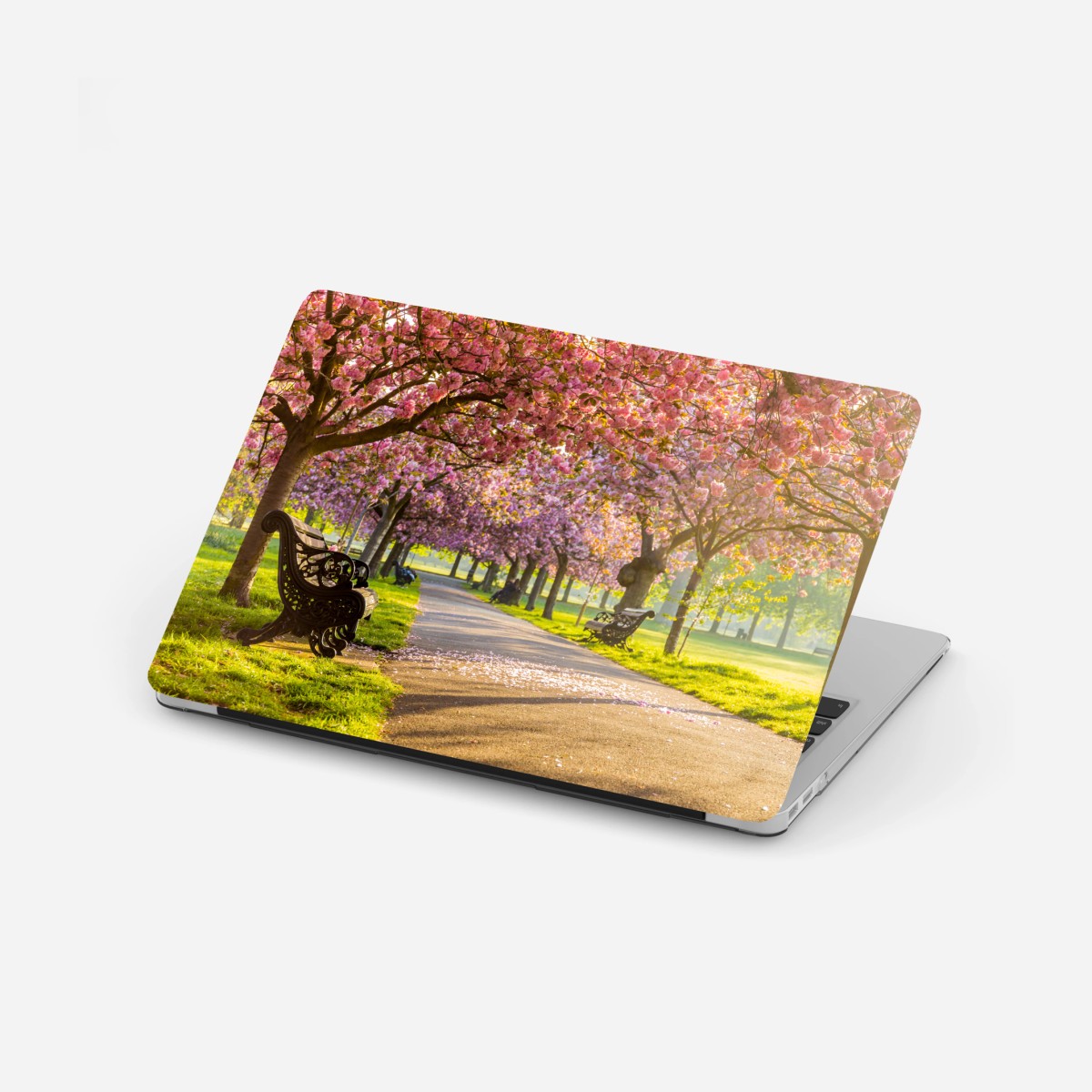 Adesivo per laptop viale di ciliegi in fiore al tramonto • Wallissimo®