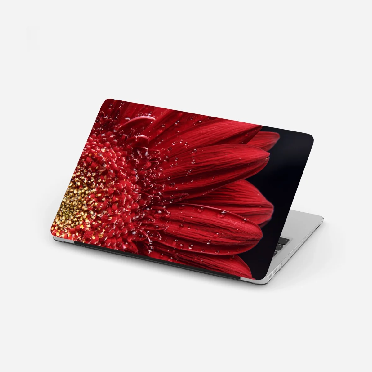 Adesivo per laptop gerbera rossa in macro con gocce di rugiada • Wallissimo® Adesivo per laptop gerbera rossa in macro con gocce di rugiada • Wallissimo®