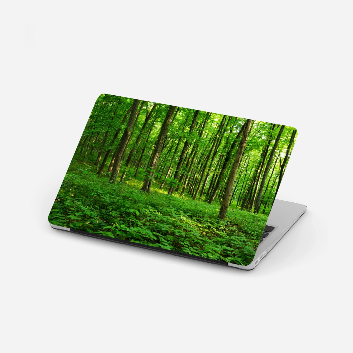 Adesivo per laptop raggi di sole nella foresta primaverile • Wallissimo®