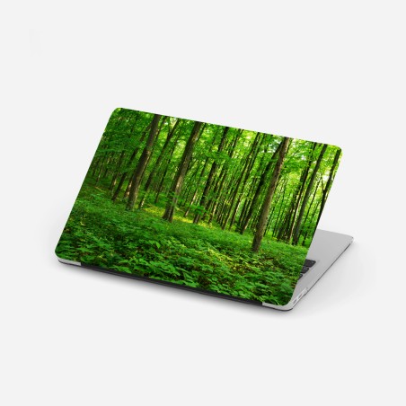 Adesivo per laptop raggi di sole nella foresta primaverile • Wallissimo®