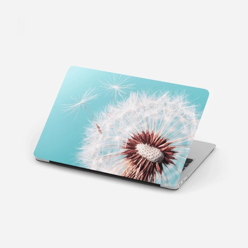 Adesivo per laptop soffione delicato su sfondo turchese