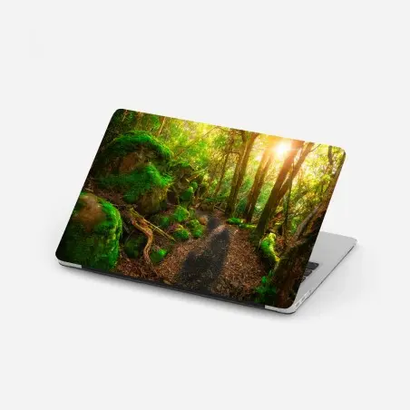 Adesivo per laptop sentiero giurassico nella foresta pluviale della Tasmania • Wallissimo®