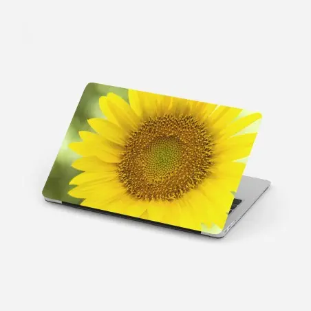 Adesivo per laptop girasole luminoso su sfondo sfocato • Wallissimo®