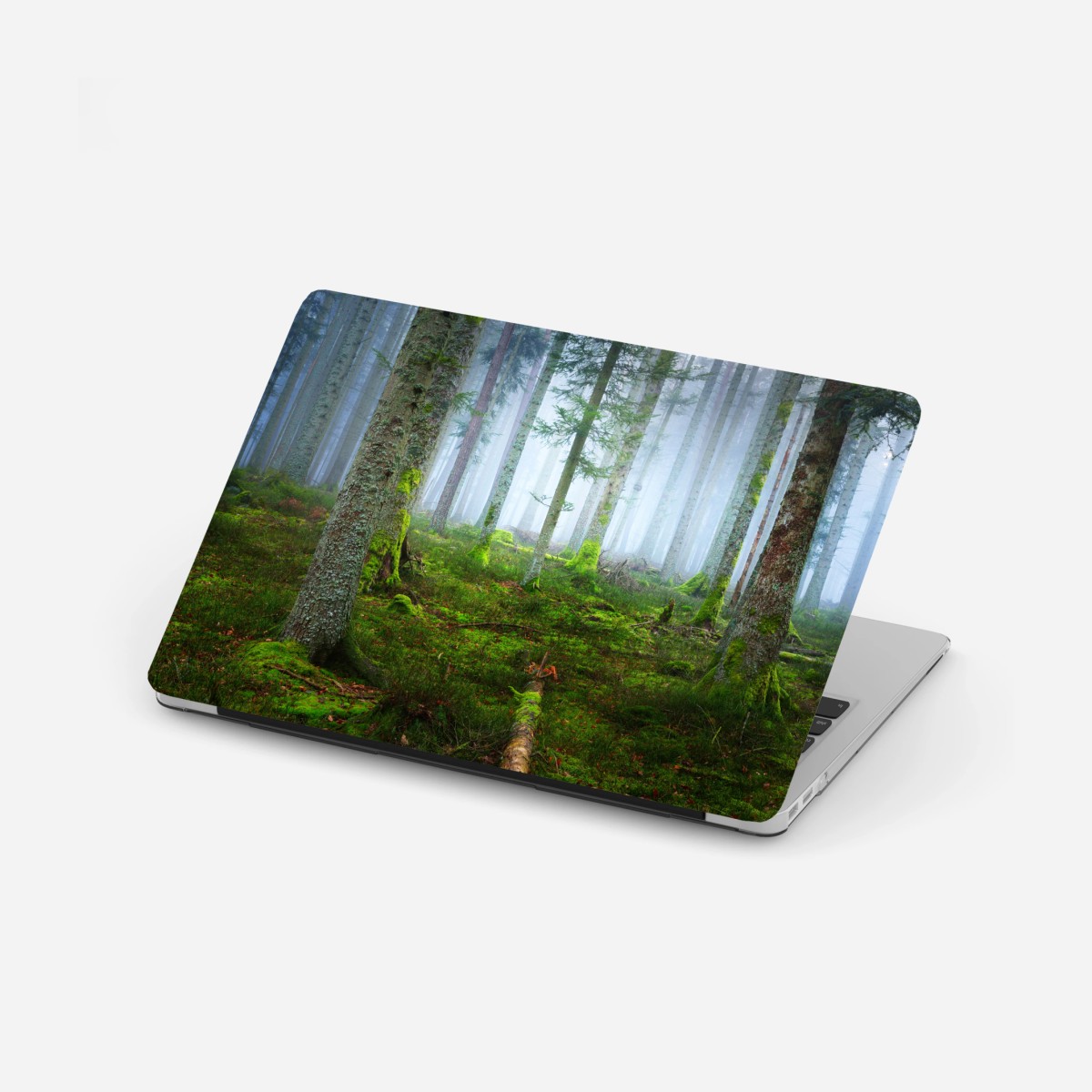 Adesivo per laptop foresta nebbiosa con tappeto di muschio, Alsazia • Wallissimo®