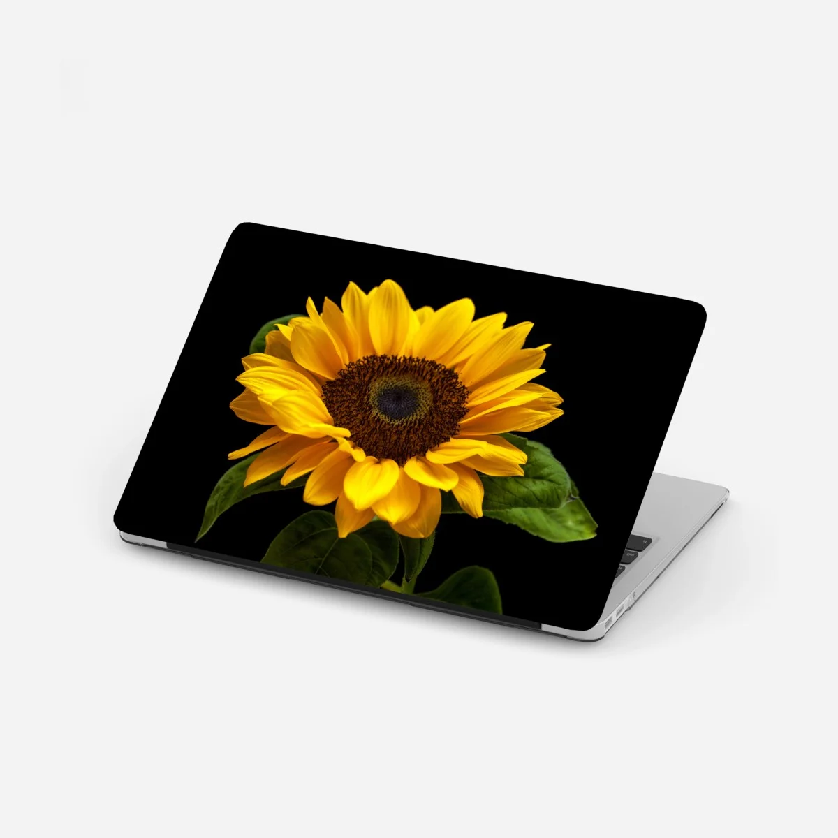 Adesivo per laptop girasole solare su sfondo nero • Wallissimo® Adesivo per laptop girasole solare su sfondo nero • Wallissimo®