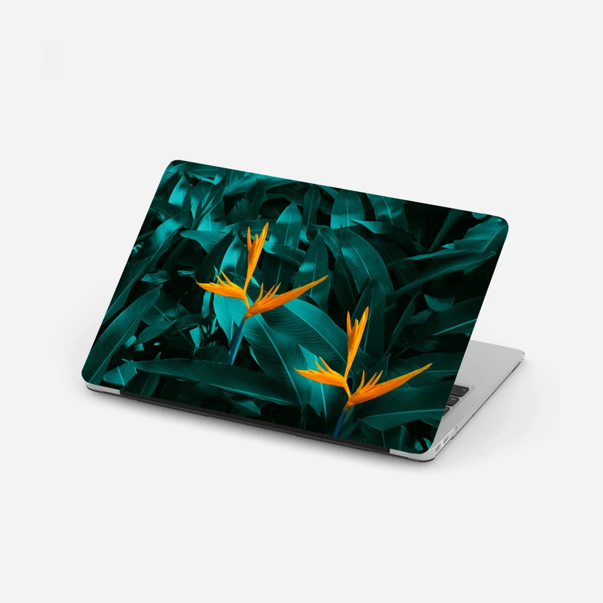 Adesivo per laptop esotico contrasto turchese e arancione • Wallissimo® Adesivo per laptop esotico contrasto turchese e arancione • Wallissimo®