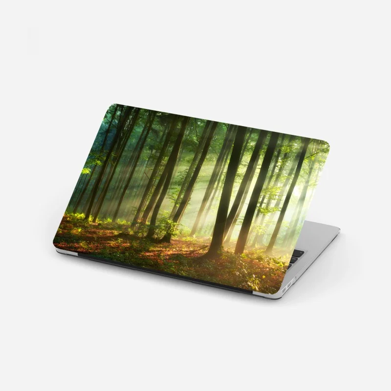 Adesivo per laptop mattina dorata nel bosco