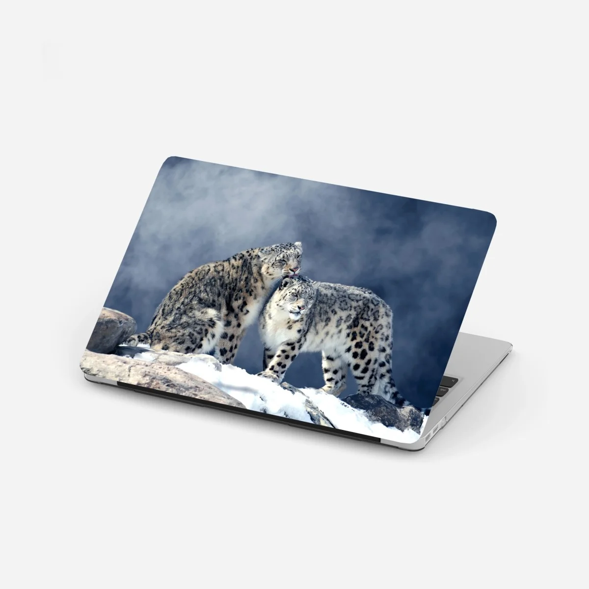 Adesivo per laptop intimità alpina: leopardi delle nevi in coppia • Wallissimo® Adesivo per laptop intimità alpina: leopardi delle nevi in coppia • Wallissimo®