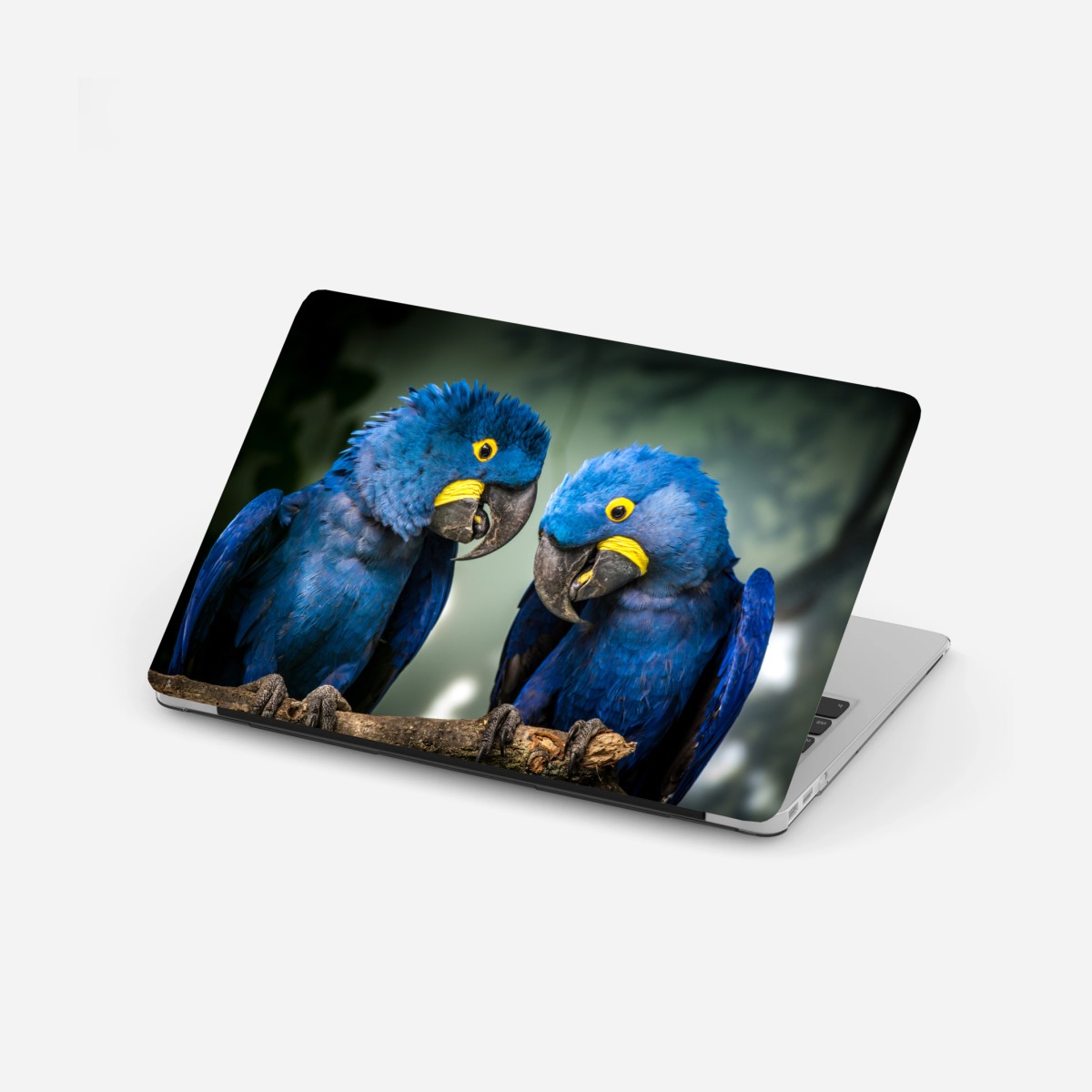 Adesivo per laptop duetto di ara giacinto su ramo • Wallissimo®