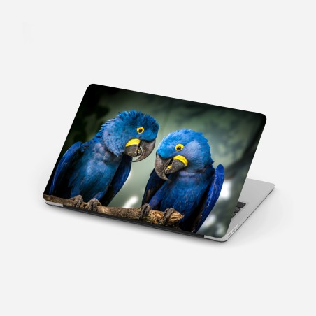 Adesivo per laptop duetto di ara giacinto su ramo • Wallissimo®