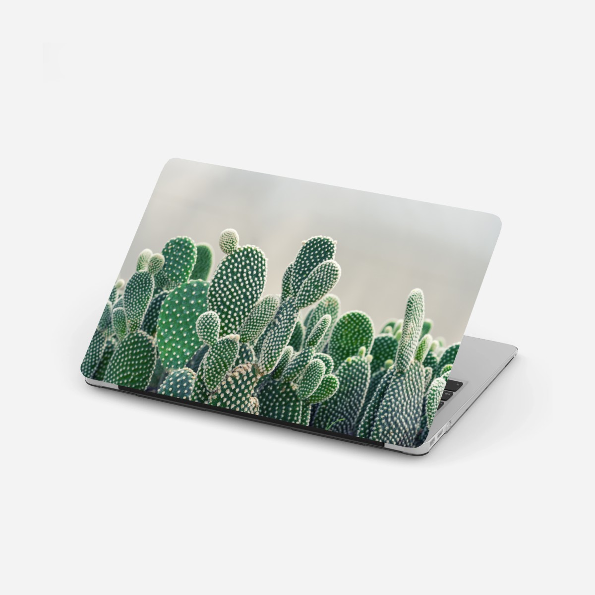 Adesivo per laptop texture di opuntia: stampa botanica verde • Wallissimo®