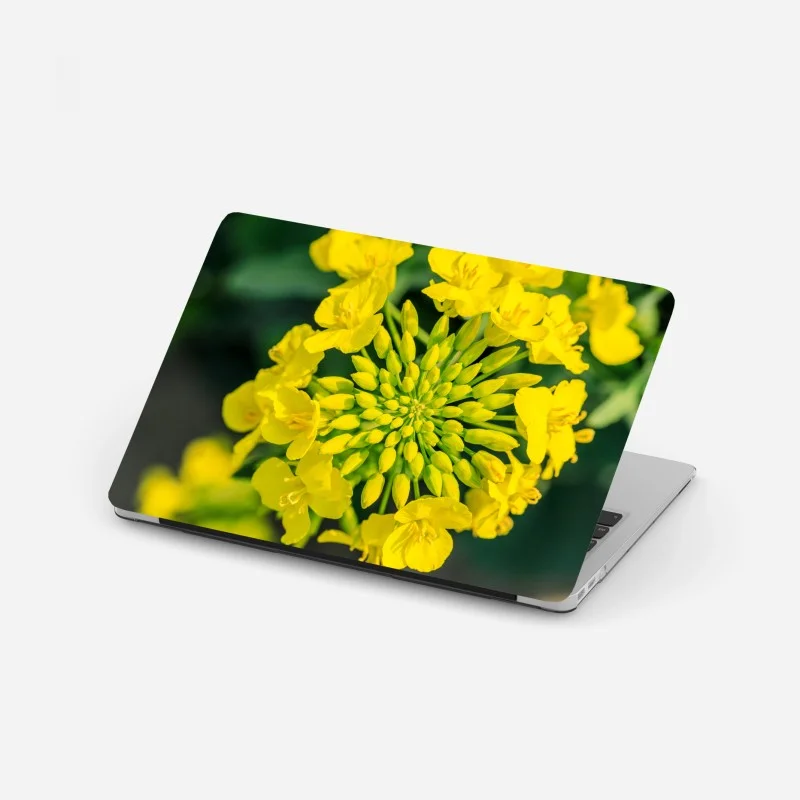 Adesivo per laptop fiore di colza in primo piano dai toni vivaci