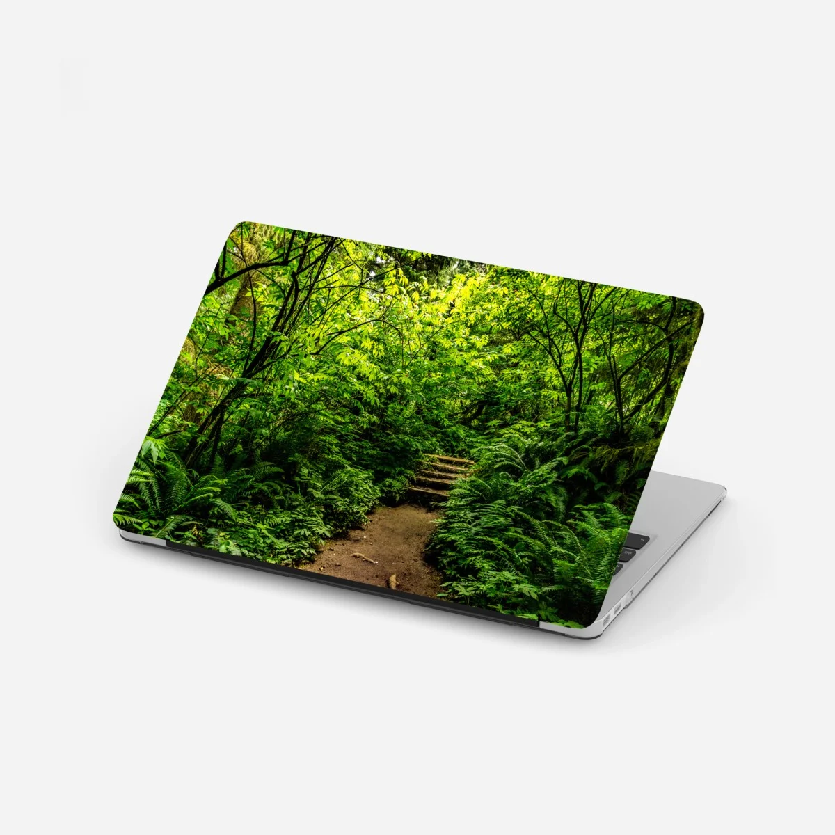 Adesivo per laptop sentiero nel bosco lussureggiante • Wallissimo® Adesivo per laptop sentiero nel bosco lussureggiante • Wallissimo®