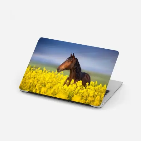 Adesivo per laptop cavallo baio tra i fiori di colza • Wallissimo®