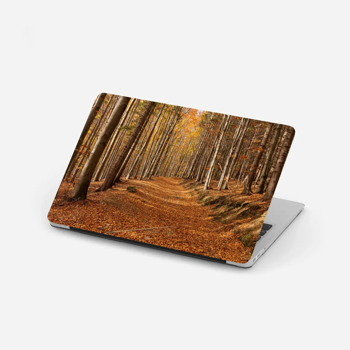 Adesivo per laptop sentiero d'autunno nel bosco dorato • Wallissimo®