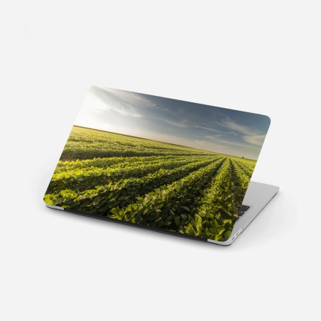 Adesivo per laptop tramonto sul campo di soia • Wallissimo®