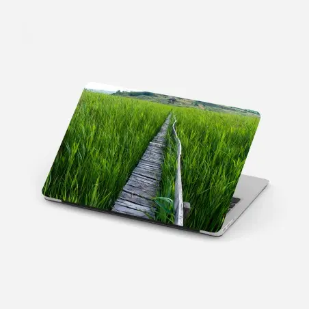 Adesivo per laptop sentiero di legno nel canneto • Wallissimo®
