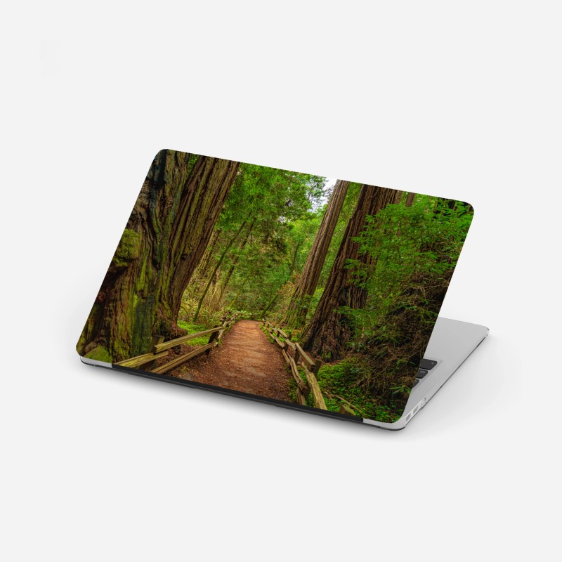 Adesivo per laptop sentiero nella foresta di sequoie