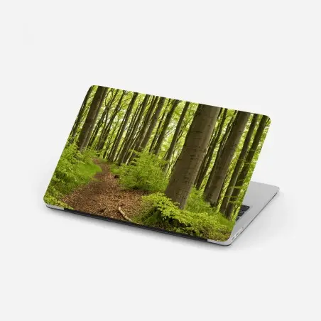 Adesivo per laptop sentiero nel bosco verde • Wallissimo®