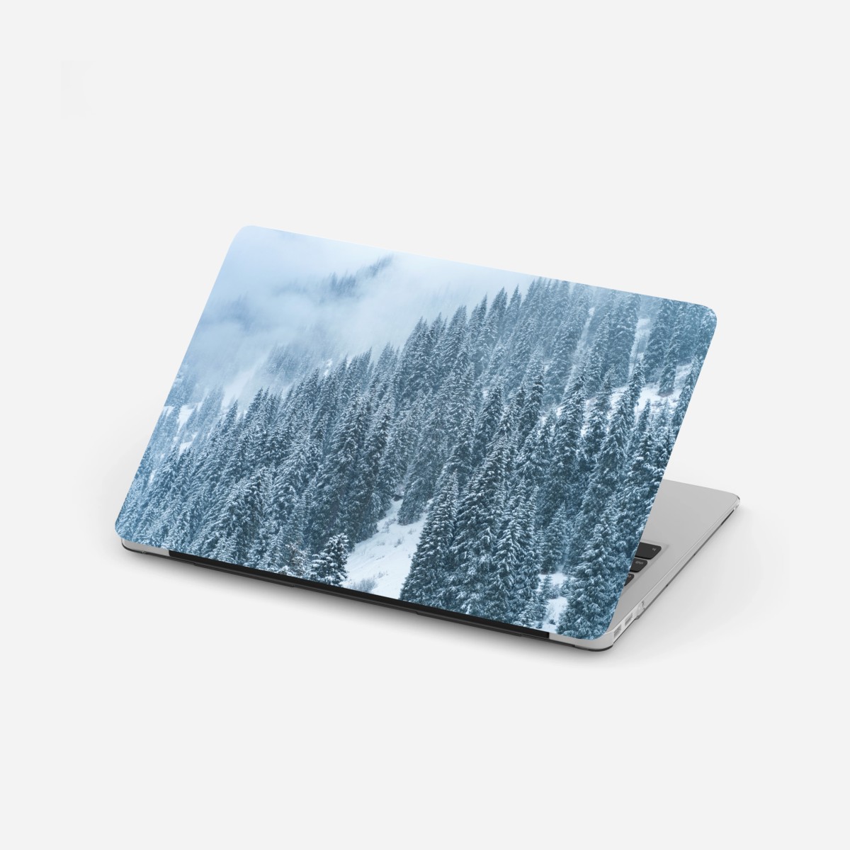 Adesivo per laptop foresta di abeti sotto la neve • Wallissimo®