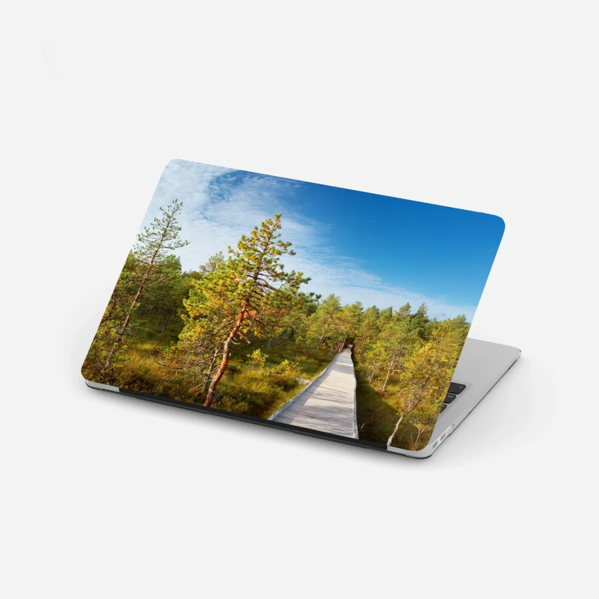 Adesivo per laptop passerella nella palude tra pini • Wallissimo® Adesivo per laptop passerella nella palude tra pini • Wallissimo®