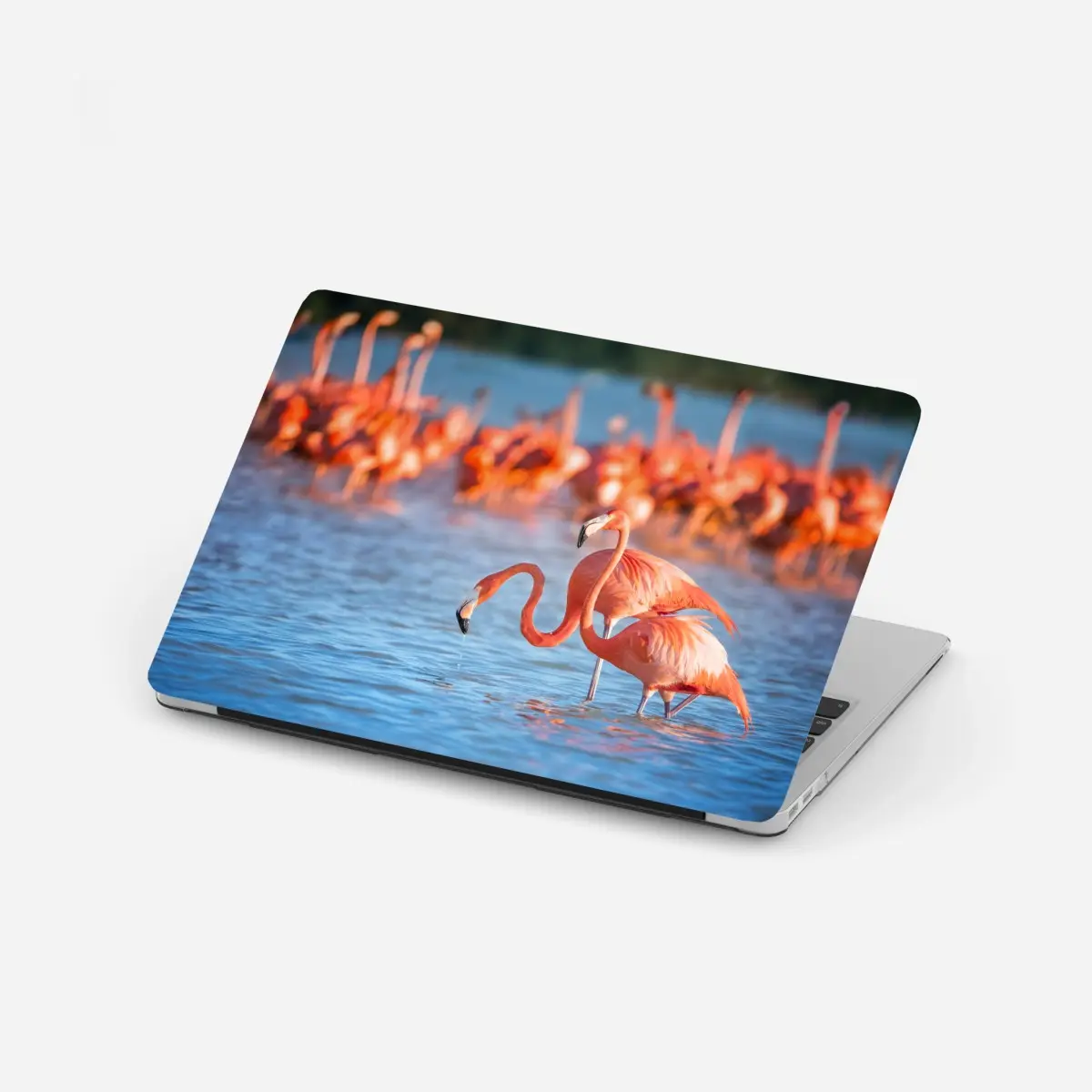 Adesivo per laptop danza dei fenicotteri in laguna • Wallissimo®